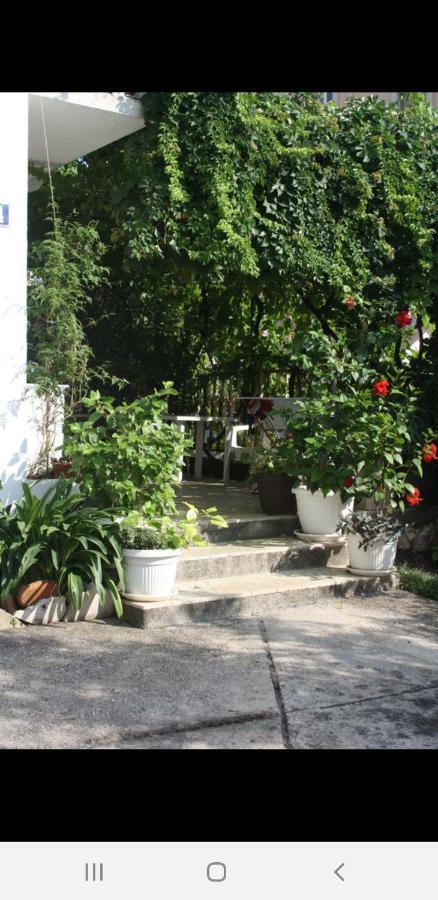 Apartments Ant Budva Exterior photo