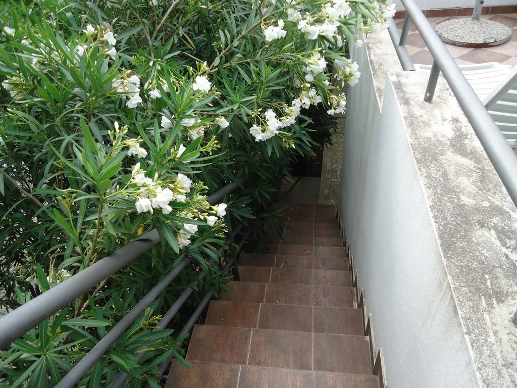 Apartments Ant Budva Room photo